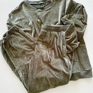 Cozy Gray/green velvet 2 pc set, new with out tags, size L , very comfortable.